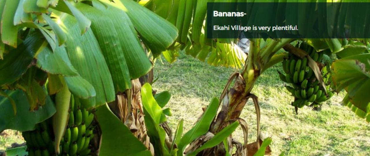 9B EKAHI VILLAGE-STUDIO BATH, GARDEN VIEW - 1 MINUTE STROLL to BEACH! Wailea (Maui) Exterior foto